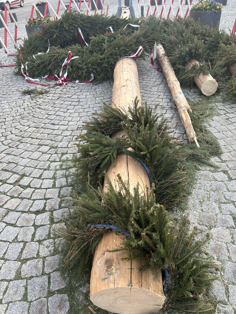 Die Maibaumreste vor dem Abtransport (Bild: Magistrat Steyr)