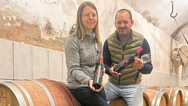 Christina und Christoph Maltschnig haben sich dem Weinanbau verschrieben. Sie haben einen eigenen Weinkeller, betreiben eine Buschenschenke, wo auch Pferde zu finden sind. (Bild: Elisa Aschbacher)