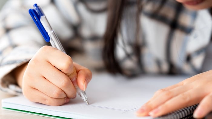 The girl wrote down the names of the pupils she also wanted to kill on a death list (symbolic ...