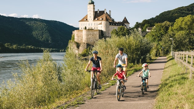 700.000 Besucher erkunden jährlich den Donauradweg. (Bild: Stefan Fürtbauer)