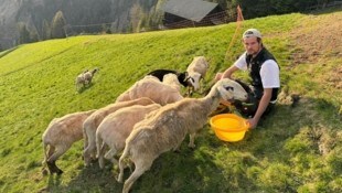 Manuel Fürhapter verlor innerhalb einer Nacht knapp die Hälfte seines Schafbestandes. (Bild: Save the Alps)