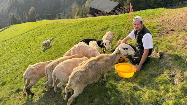 Manuel Fürhapter lost almost half of his flock of sheep in one night. (Bild: Save the Alps)