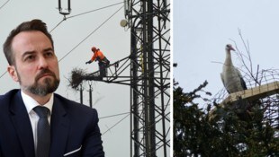Chef Michael Baminger und die Salzburg AG haben beim Entfernen eines Storchennests nur von „ein paar Ästen“ gesprochen – das hat Konsequenzen (Bild: Tröster, zVg)