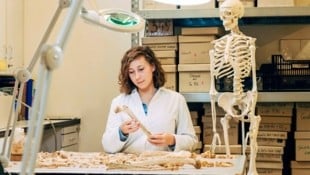 Bioarchäologin Magdalena Srienc-Ściesiek nahm die Skelette genauer unter die Lupe.