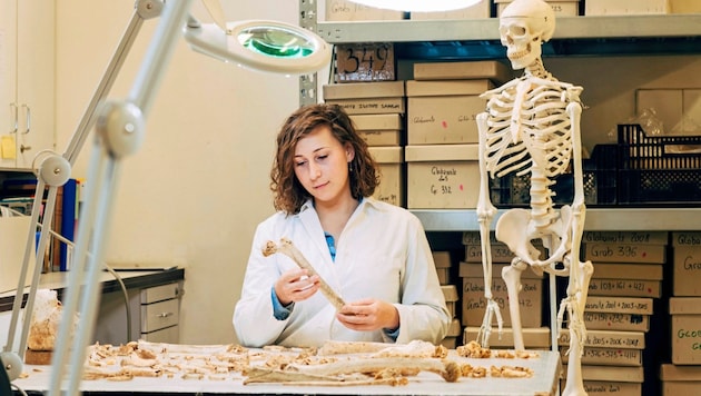 Bioarchäologin Magdalena Srienc-Ściesiek nahm die Skelette genauer unter die Lupe. (Bild: KLAUS PICHLER)