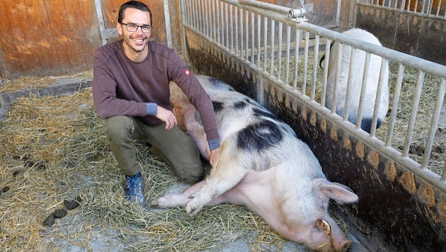 "Master Boar" likes to be cuddled by Maurer. (Bild: klemens groh)