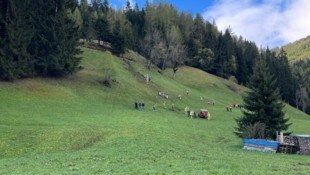 Zahlreiche Rettungskräfte waren vor Ort. (Bild: FF Gries)