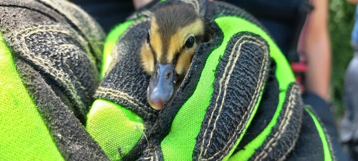 Sicher aufgehoben und in Sicherheit gebracht.