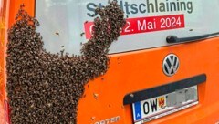 Die Bienen klebten an der Karosserie regelrecht fest. (Bild: Weber Franz/Franz Weber, Krone KREATIV)