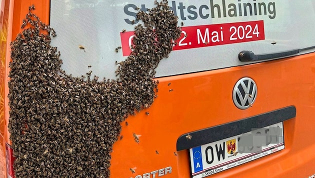 Die Bienen klebten an der Karosserie regelrecht fest. (Bild: Weber Franz/Franz Weber, Krone KREATIV)