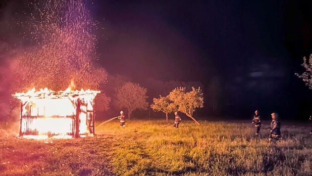 Bei einem Brand in Niederösterreich könnten am Sonntag mehr als zwei Millionen Bienen verendet sein. (Bild: DOKU-NÖ)