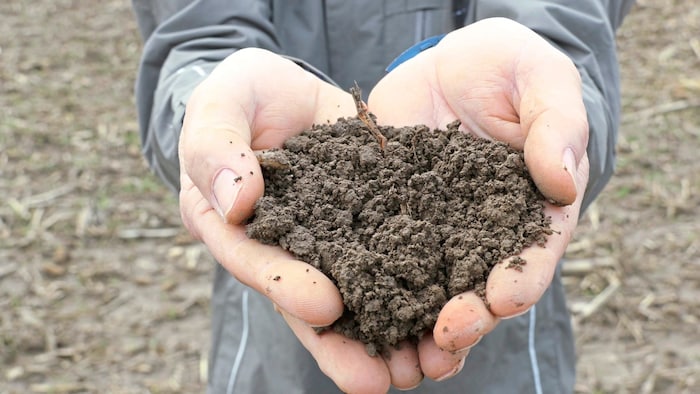 Our waste contains valuable raw materials.