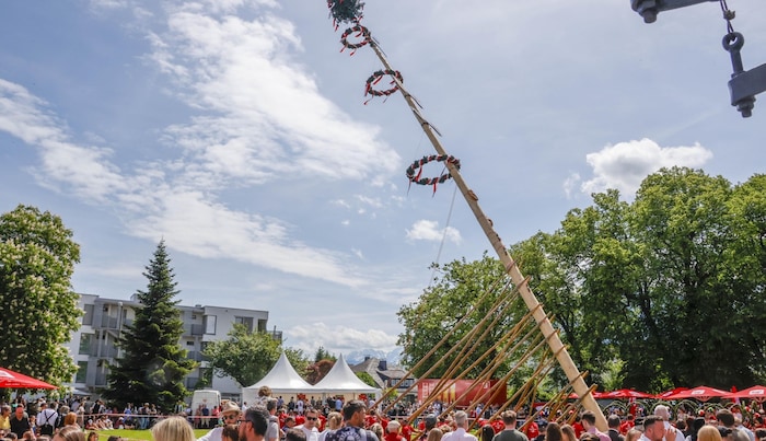 Etwa 10.000 Besucher sahen beim Maibaumaufstellen zu.