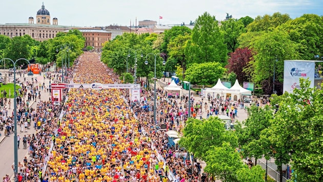 Beim Flagship Run in Wien waren 13.500 Menschen am Start. (Bild: Philip Platzer for Wings for Life World Run)