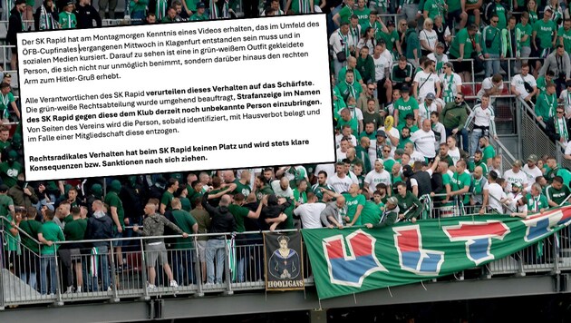 SK Rapid is pressing charges against an alleged fan. (Bild: GEPA pictures, twitter.com/skrapid)