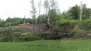 Dieses „Suchbild“ weist mehr als fünf Bäume weniger auf (als das untere). Wenige Tage liegen ...