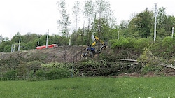 Dieses „Suchbild“ weist mehr als fünf Bäume weniger auf (als das untere). Wenige Tage liegen zwischen den Aufnahmen. (Bild: Honorar)