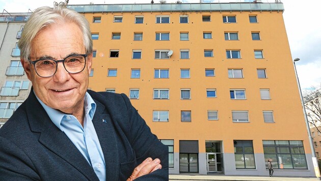 Peter Zellmann deckte mit anderen Eigentümern die Wärmeverluste auf. (Bild: Krone KREATIV/Gerhard Bartel, Peter Zellmann)