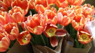 Blumen werden mit Abstand am häufigsten verschenkt. (Bild: Jöchl Martin)