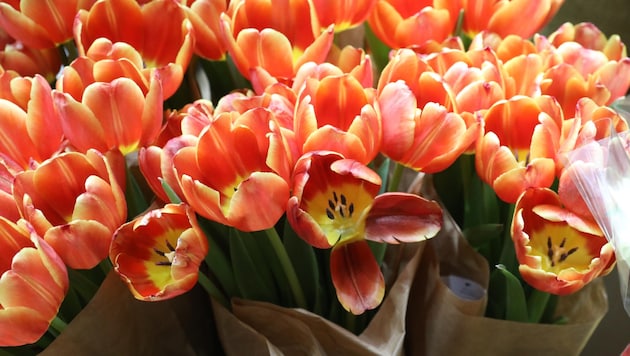 Blumen sind ein beliebtes Geschenk für die Liebsten, doch oft sind sie mit einem wahren Pestizid-Cocktail versehen. (Bild: Jöchl Martin)