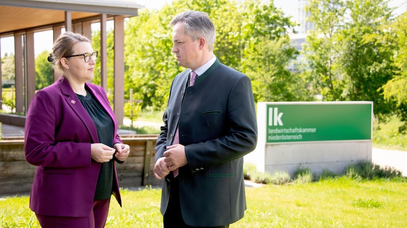 Christina Mutenthaler-Sipek (AMA) und Präsident Johannes Schmuckenschlager. (Bild: EVA LECHNER)