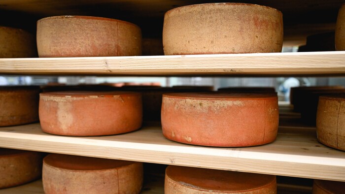 Neben hochmodernen Anlagen sind am Standort Geinberg 230 Mitarbeiter im Einsatz. Weil die ...