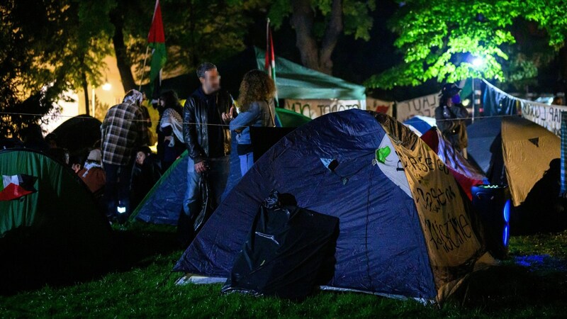 Zuvor nahmen sie an einer Demonstration für Palästina teil. (Bild: APA/Max Slovencik)