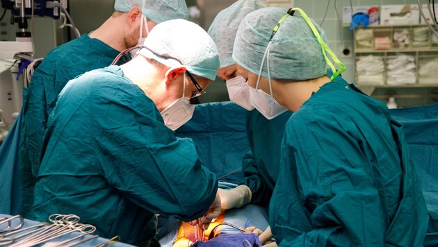 A kidney transplant is a highly complex, interdisciplinary procedure. (Bild: @Ordensklinikum Linz)