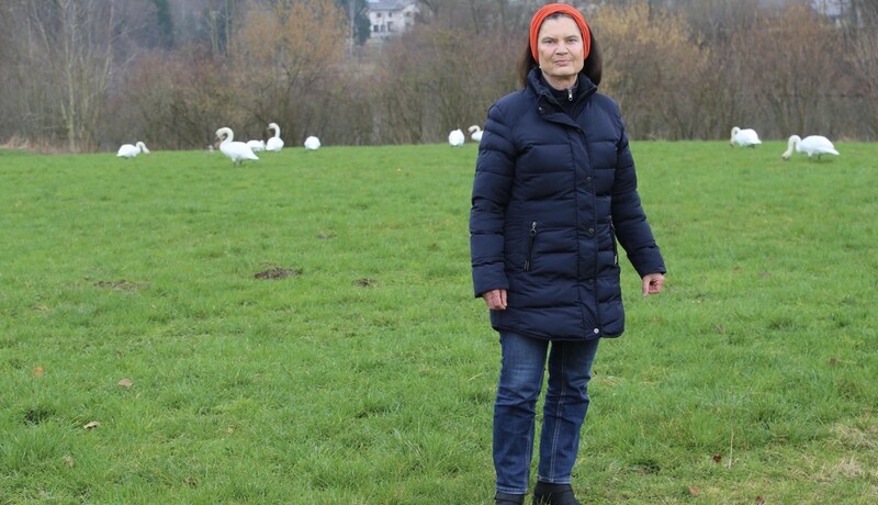 Tierschützerin Doris Adami zählt und fotografiert seit 2013 die Schwanenpopulation an der Enns und Steyr. Sie barg den Vogelkadaver, konnte dann den ganzen Tag nichts essen. (Bild: Mader Klaus Fotografie)