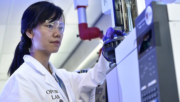 Examination of soil samples in the laboratory of the Organization for the Prohibition of Chemical Weapons (Bild: APA/AFP/JOHN THYS)