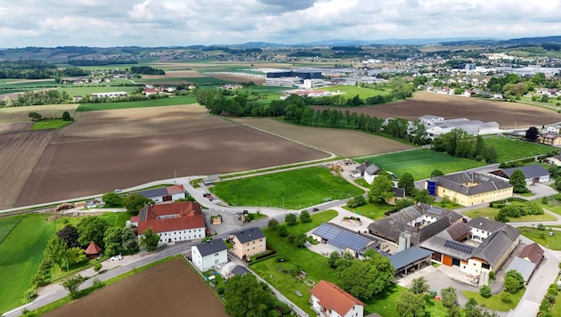 Die Pläne für die Errichtung von zwei Lagerhallen sorgen im Perger Stadtteil Aisthofen für große Aufregung. (Bild: Dostal Harald)