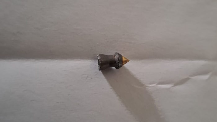 Dieses Projektil entfernte der Tierarzt aus „Peccos“ Körper