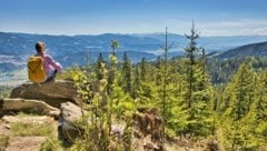 Das Kraubatheck ist einen Ausflug wert. Mit dem Zug anreisen, den Ort Kraubath durchwandern und über schöne Waldwege eindrucksvolle Plätze kennenlernen. (Bild: Weges)