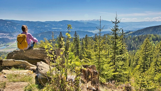 Das Kraubatheck ist einen Ausflug wert. Mit dem Zug anreisen, den Ort Kraubath durchwandern und über schöne Waldwege eindrucksvolle Plätze kennenlernen. (Bild: Weges)