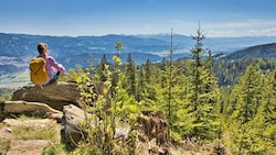 Das Kraubatheck ist einen Ausflug wert. Mit dem Zug anreisen, den Ort Kraubath durchwandern und über schöne Waldwege eindrucksvolle Plätze kennenlernen. (Bild: Weges)