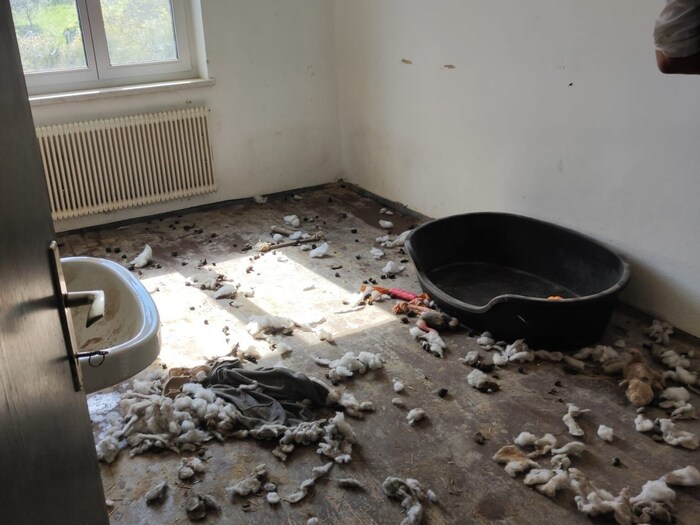 In solchen Räumen waren die Hunde untergebracht