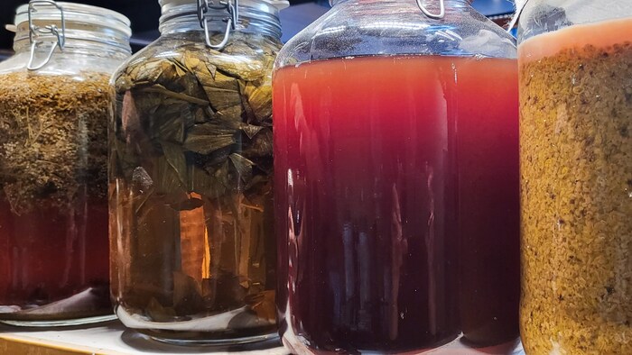 Kulinarische Experimente im Culinary Lab