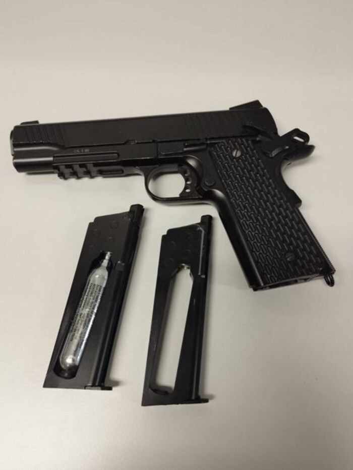 The mother is said to have ordered the weapon and ammunition online and then handed it over to ...