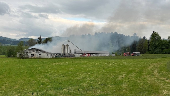 Die beiden vom Brand betroffenen Schweineställe. 