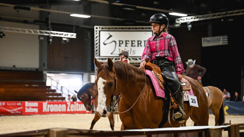 Westernreiten: Gehorsam am losen Zügel (Bild: Markus Wenzel)