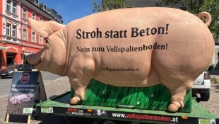 „Grunzi“ am Villacher Nikolaiplatz. 