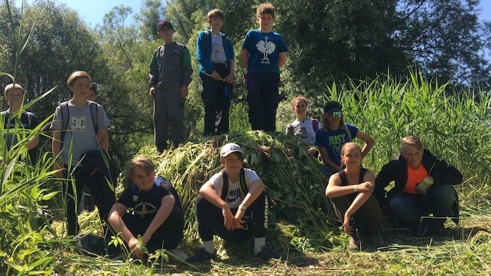 Ein weiteres Projekt, das durch die Naturschutzabgabe unterstützt wird: Neophytenbekämpfung mit Schulklassen in der Pflacher Au (Bezirk Reutte).
