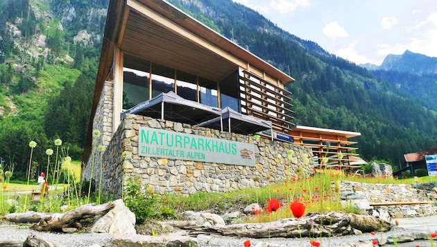 Die naturnahe Gestaltung im Außenbereich des neuen Naturparkhauses in Ginzling wurde mit Mitteln aus der Naturschutzabgabe finanziert. (Bild: Naturpark Zillertaler Alpen/Seifert)