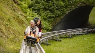 Eine abenteuerliche Fahrt bietet die Sommerrodelbahn in St. Corona am Wechsel.