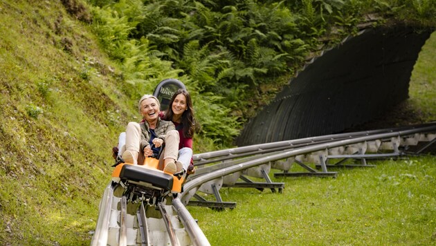 Eine abenteuerliche Fahrt bietet die Sommerrodelbahn in St. Corona am Wechsel. (Bild: DORIS SCHWARZ KOENIG)