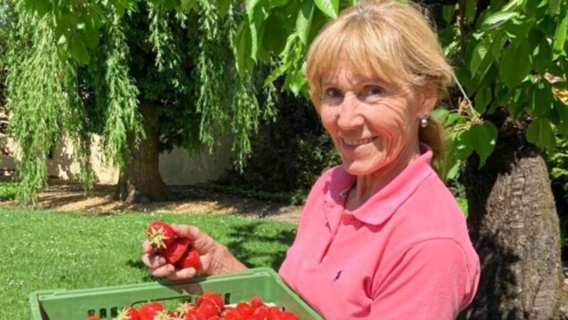 Johanna Weber mit den ersten Erdbeeren dieses Jahres. Im Lavanttal hat der Frost einige Blüten beschädigt, dennoch bleiben die Preise moderat. (Bild: Bartlbauer)