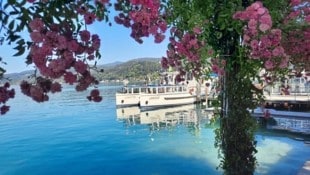 Insgesamt 3000 Charterfahrten haben die Schiffe mit ihrem 75-PS-Motor in den vergangenen zwei ...