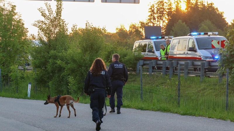 Auch mit einem Spürhund wurde ab Freitagfrüh nach dem vermissten Unfalllenker (40) in Sattledt gesucht. (Bild: Lauber/laumat.at Matthias)