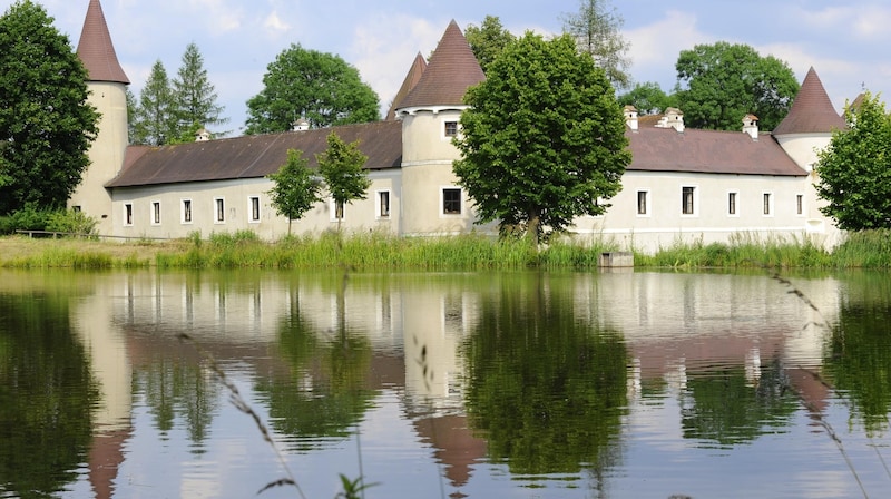 Die Region um Schloss Waldreichs ist auch Kulturland. (Bild: GABRIELE MOSER )