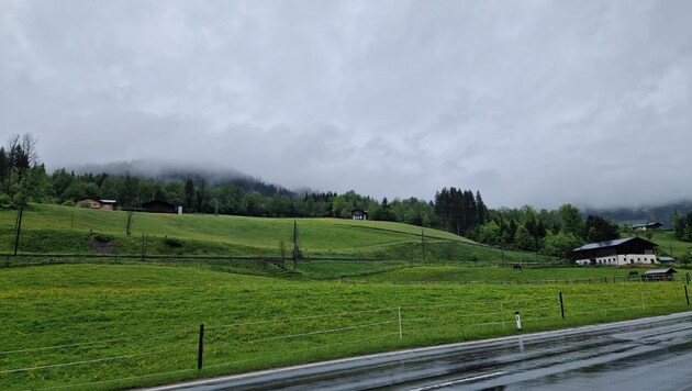 This meadow is the bone of contention in Eben. Was everything above board with the sale? (Bild: Nikolaus Klinger)